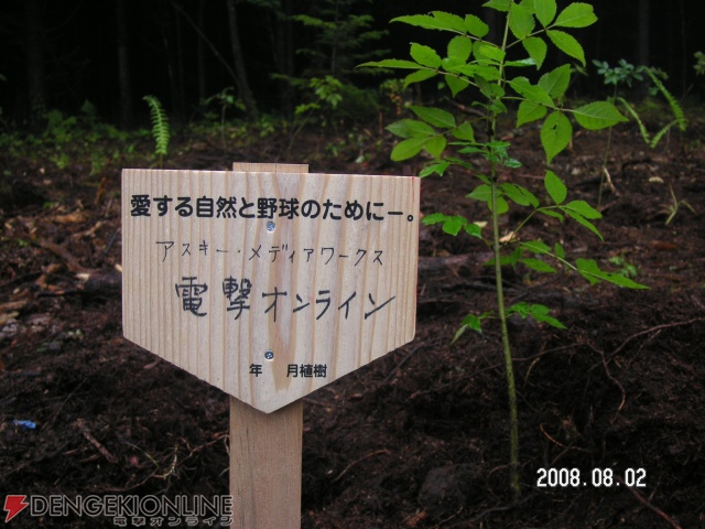 『野球つく』ディレクター馬場氏がバット素材・アオダモの植樹支援活動に参加！