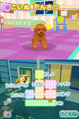 18種の仔犬たちと触れあえる『かわいい仔犬DS2』発売！